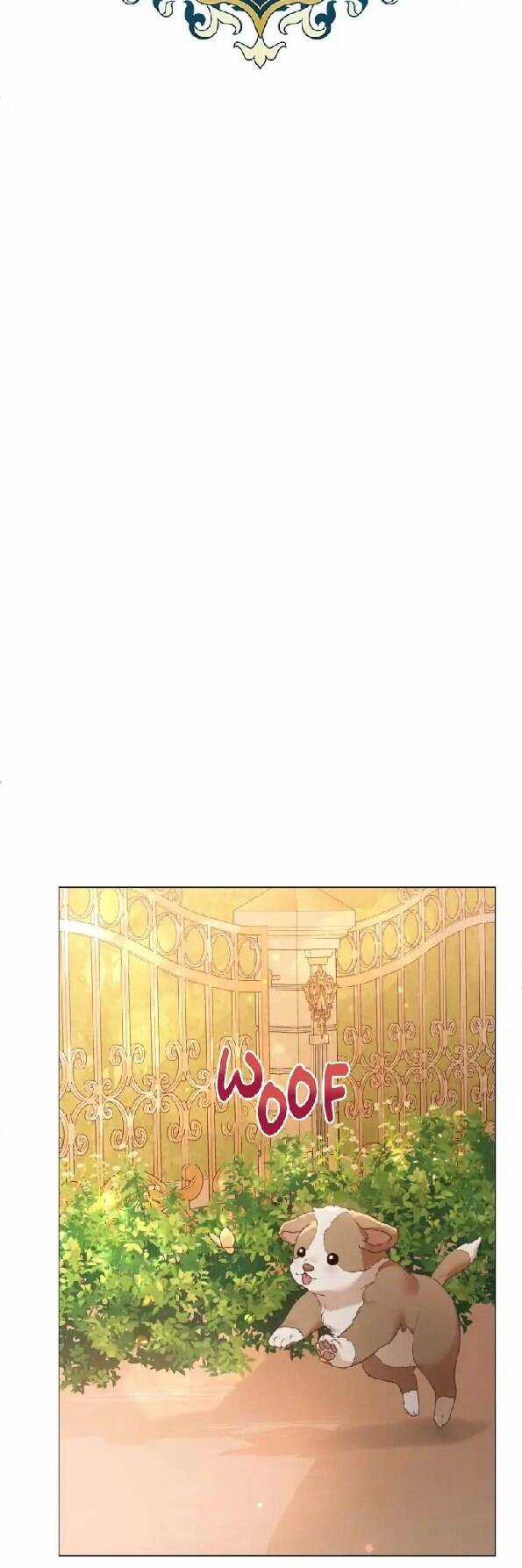 Người Không Mời Mà Đến Chapter 81 trang 52