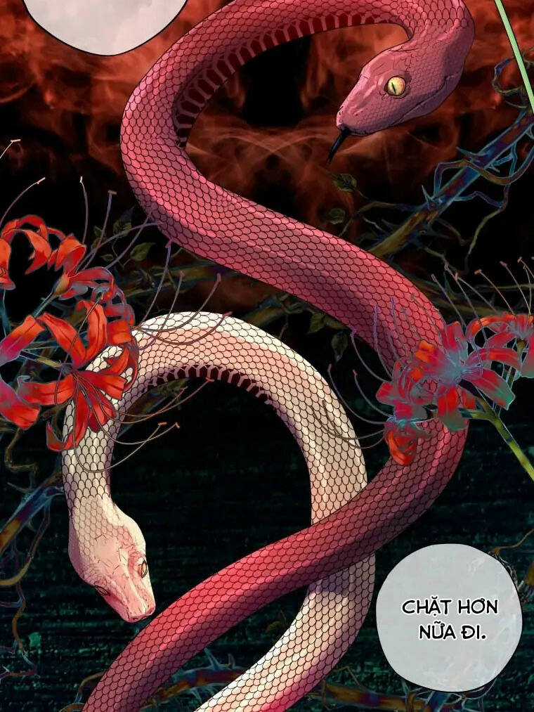 Người Không Mời Mà Đến Chapter 85 trang 6