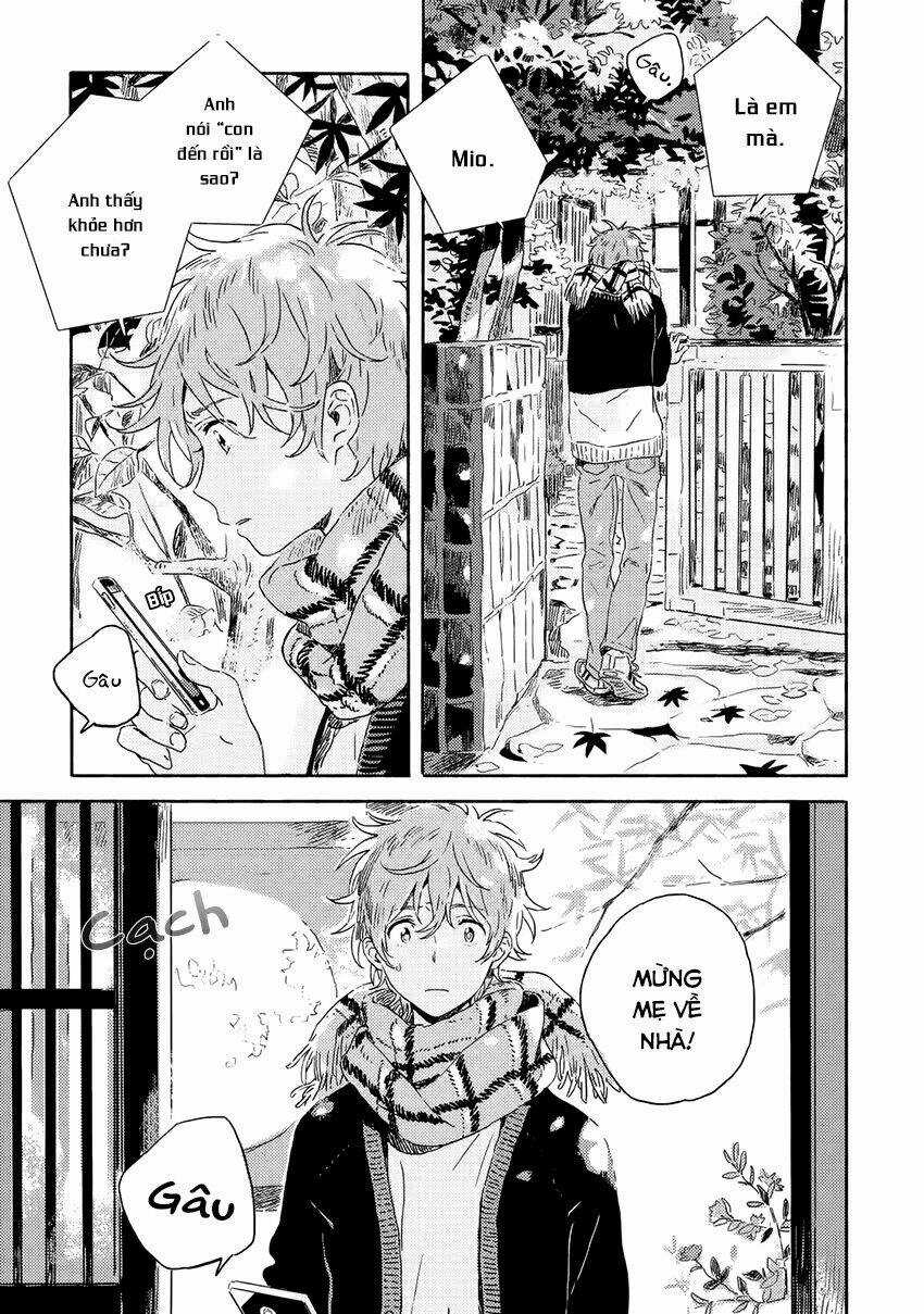 Người Lạ Dưới Gió Xuân Chapter 2 trang 37