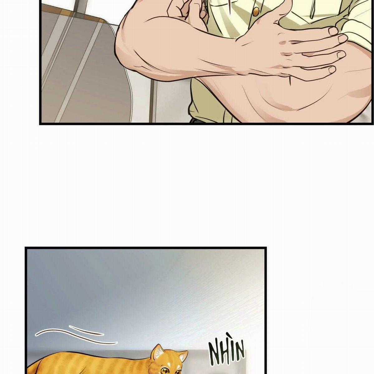 Người Lạ Trong Gương Chapter 13 trang 12