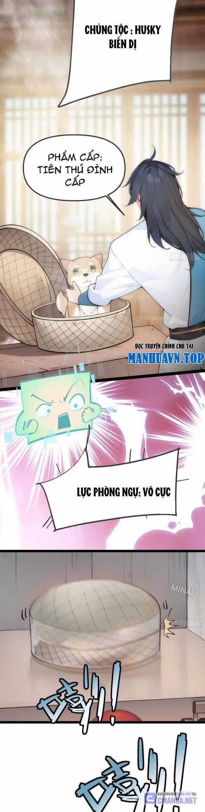 Ngươi Làm Bộ Tu Luyện Đi! Chương 12 trang 1