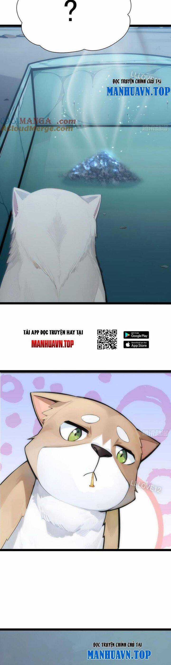 Ngươi Làm Bộ Tu Luyện Đi! Chương 14 trang 6