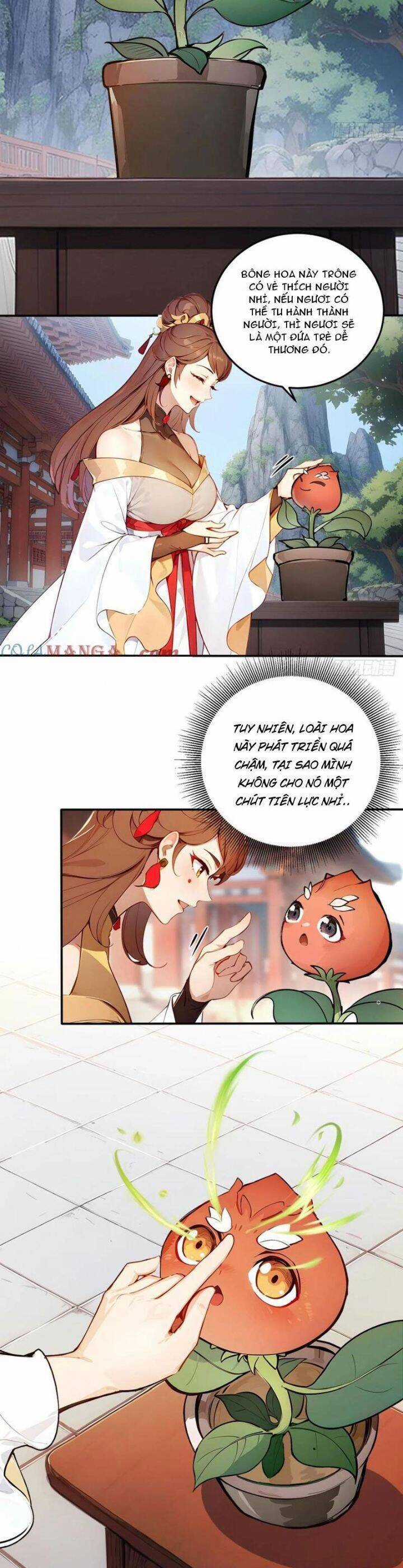 Ngươi Làm Bộ Tu Luyện Đi! Chương 56 trang 7