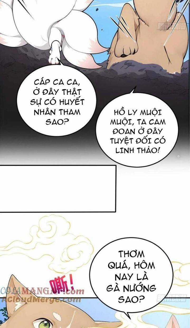 Ngươi Làm Bộ Tu Luyện Đi! Chương 62 trang 14