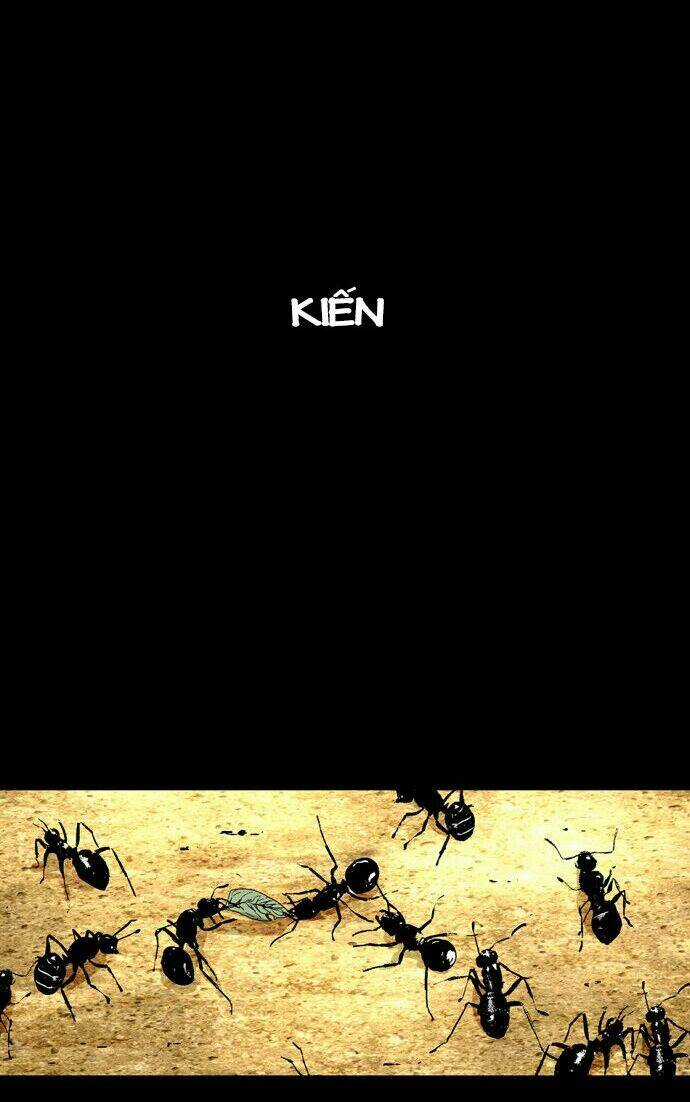 Người máy hủy diệt Chapter 17 trang 43