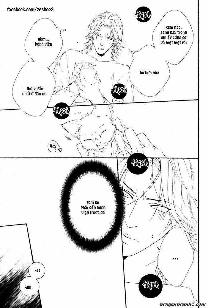 Người Nuôi Mèo Và Bác Sĩ Thú Y Chapter 1 trang 12