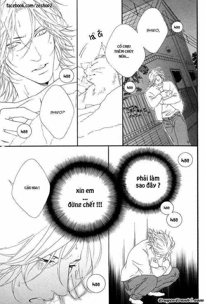 Người Nuôi Mèo Và Bác Sĩ Thú Y Chapter 1 trang 14