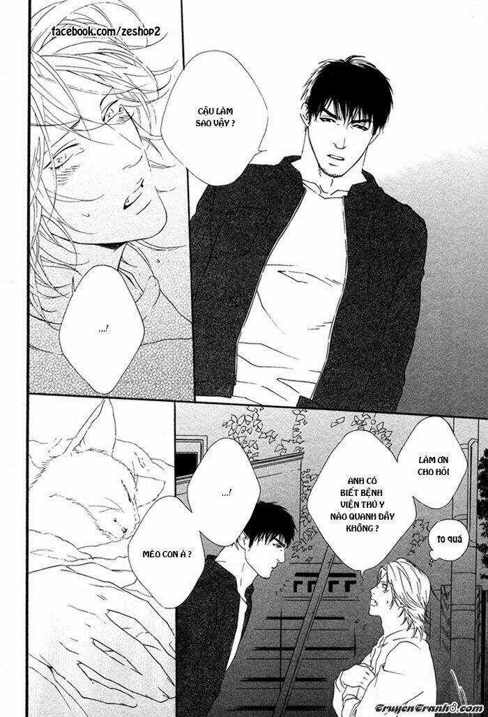 Người Nuôi Mèo Và Bác Sĩ Thú Y Chapter 1 trang 15