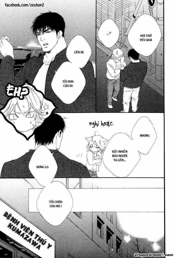 Người Nuôi Mèo Và Bác Sĩ Thú Y Chapter 1 trang 16