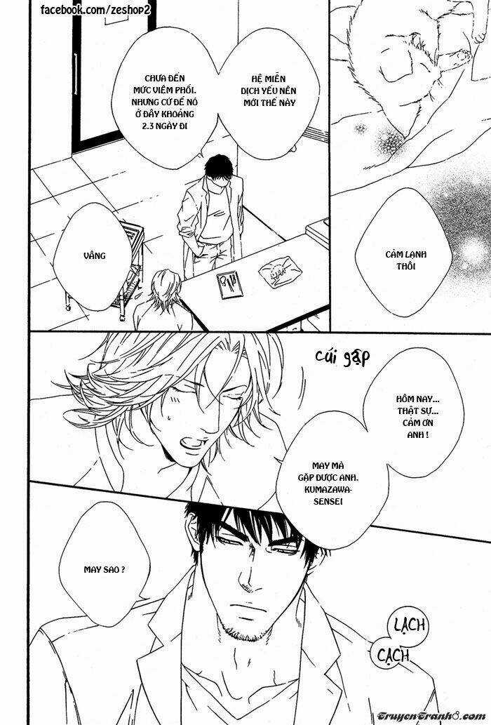 Người Nuôi Mèo Và Bác Sĩ Thú Y Chapter 1 trang 17