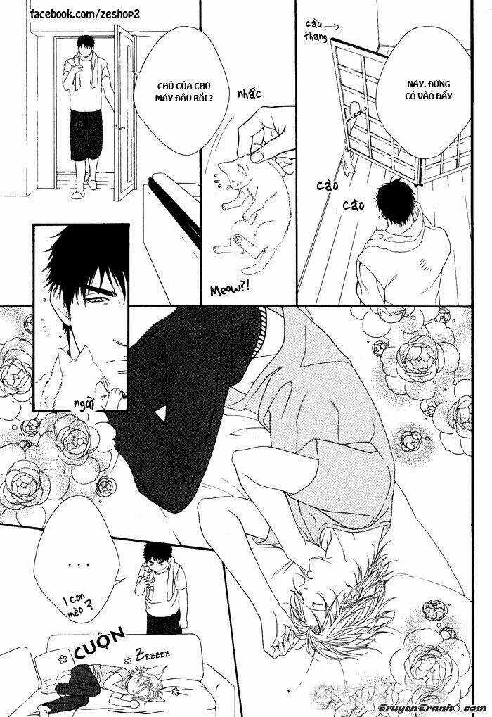 Người Nuôi Mèo Và Bác Sĩ Thú Y Chapter 2 trang 22