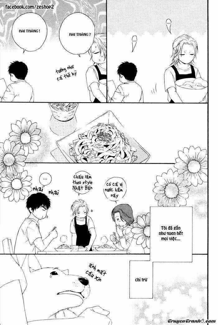 Người Nuôi Mèo Và Bác Sĩ Thú Y Chapter 3 trang 6