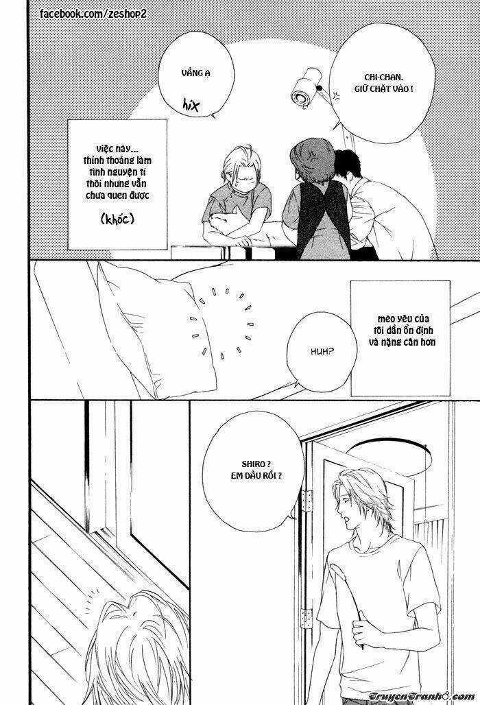 Người Nuôi Mèo Và Bác Sĩ Thú Y Chapter 3 trang 7