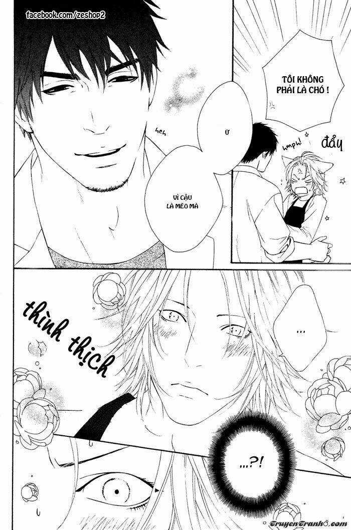 Người Nuôi Mèo Và Bác Sĩ Thú Y Chapter 4 trang 27