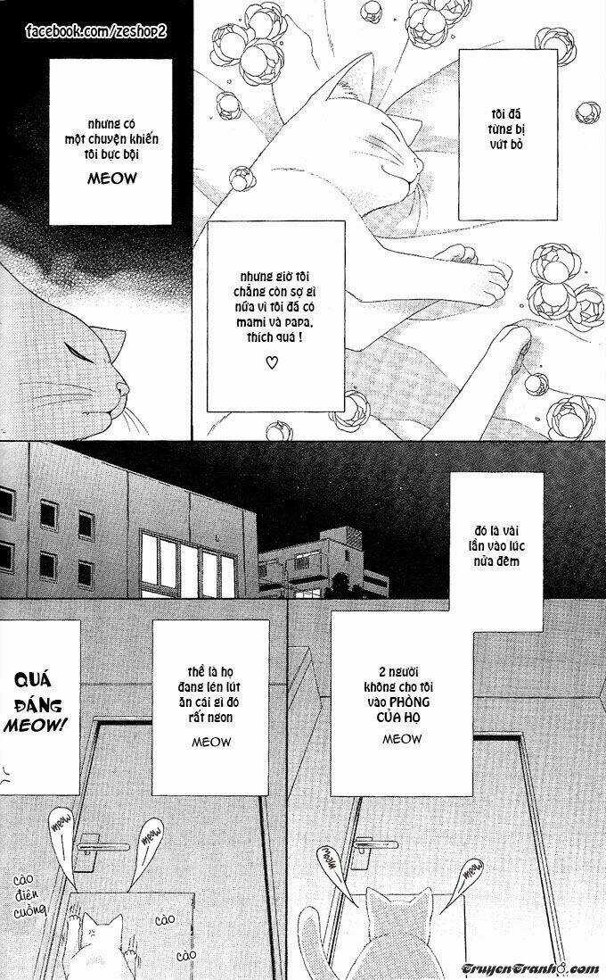 Người Nuôi Mèo Và Bác Sĩ Thú Y Chapter 9 trang 6