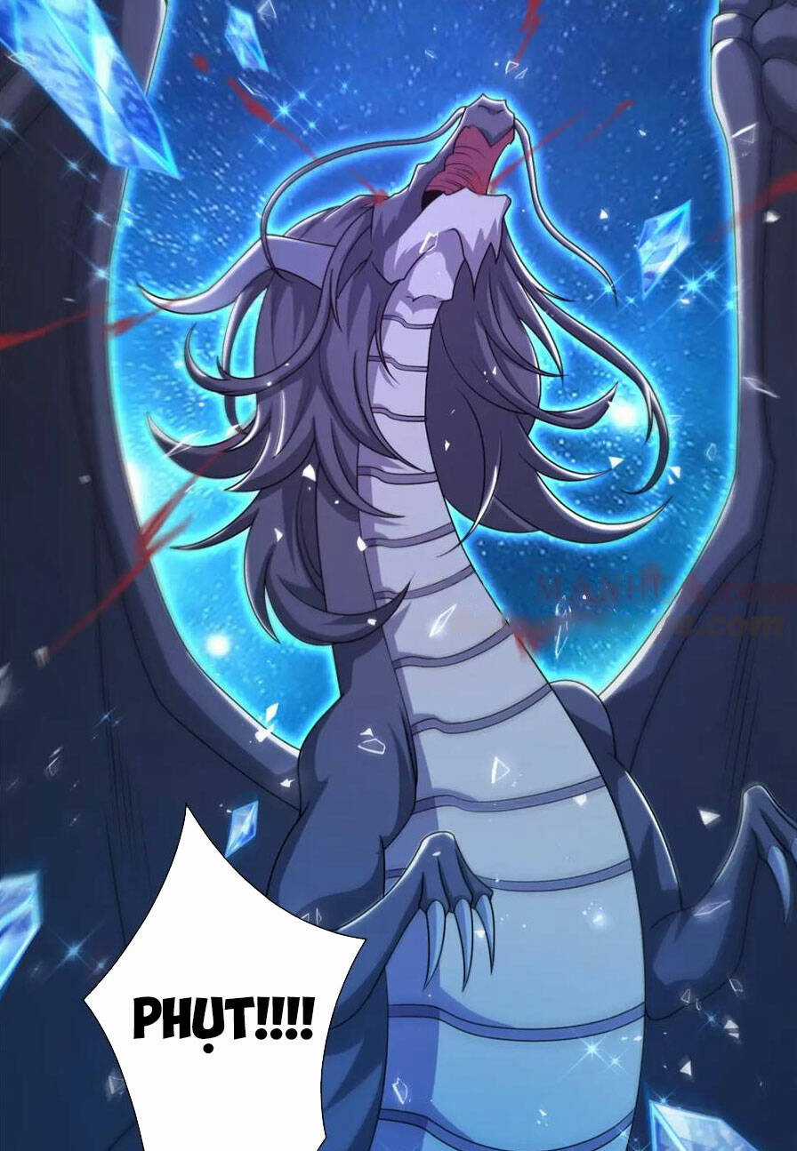 Người Nuôi Rồng Chapter 343 trang 1