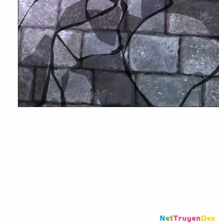 Người Ở Rể Bị Ép Thành Phản Diện Chapter 639 trang 19