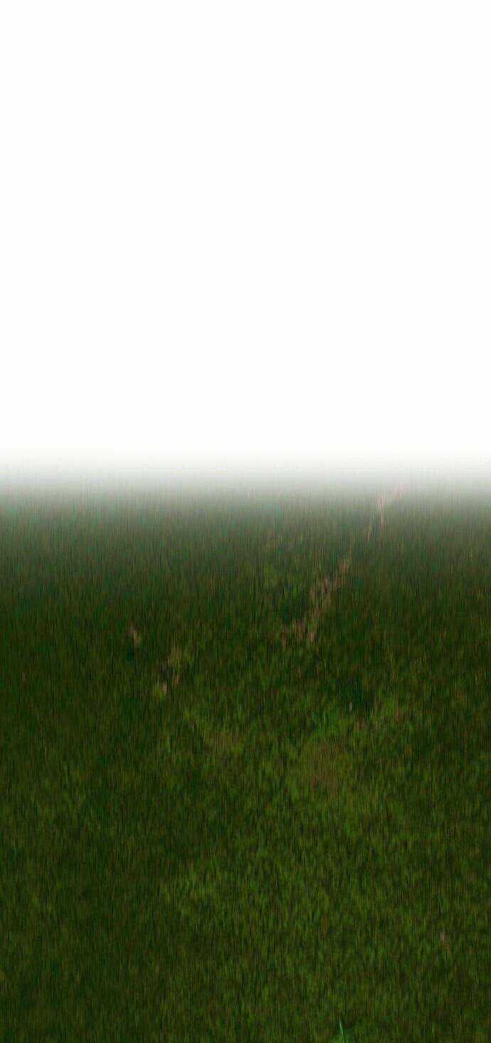 Người Thây Ma Chapter 55 trang 94