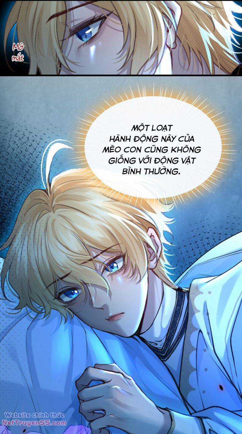 Người Thừa Kế Của Qủy Chapter 5 trang 28