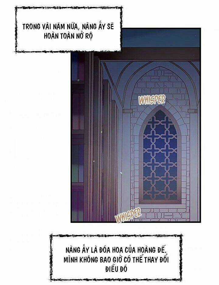 Người Tình Của Hoàng Đế Chapter 11 trang 46