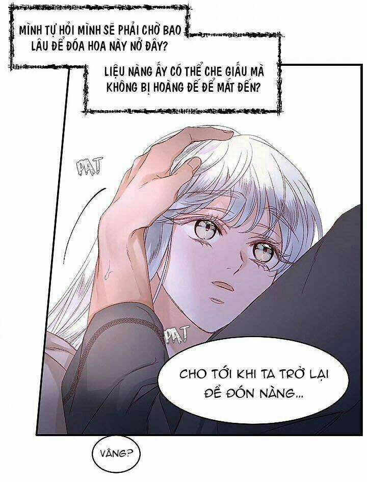 Người Tình Của Hoàng Đế Chapter 11 trang 52