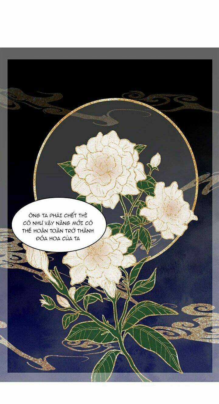 Người Tình Của Hoàng Đế Chapter 9 trang 8