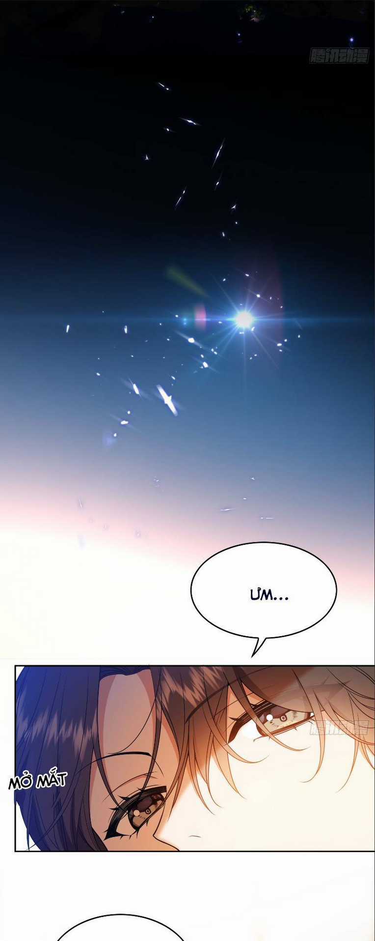 Người Tình Hợp Đồng Của Tổng Tài Chapter 11 trang 17