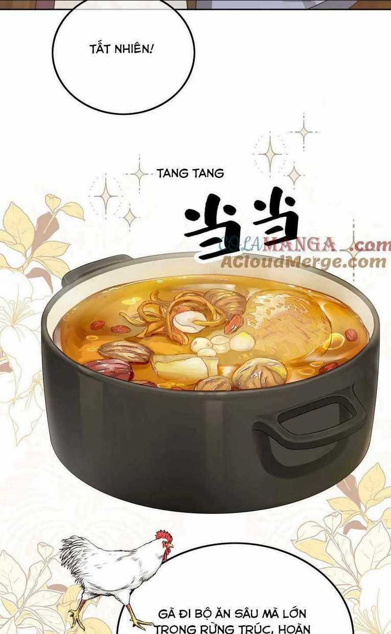 Người Tình Hợp Đồng Của Tổng Tài Chapter 23 trang 37
