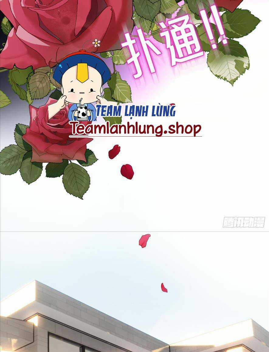 Người Tình Hợp Đồng Của Tổng Tài Chapter 3 trang 10