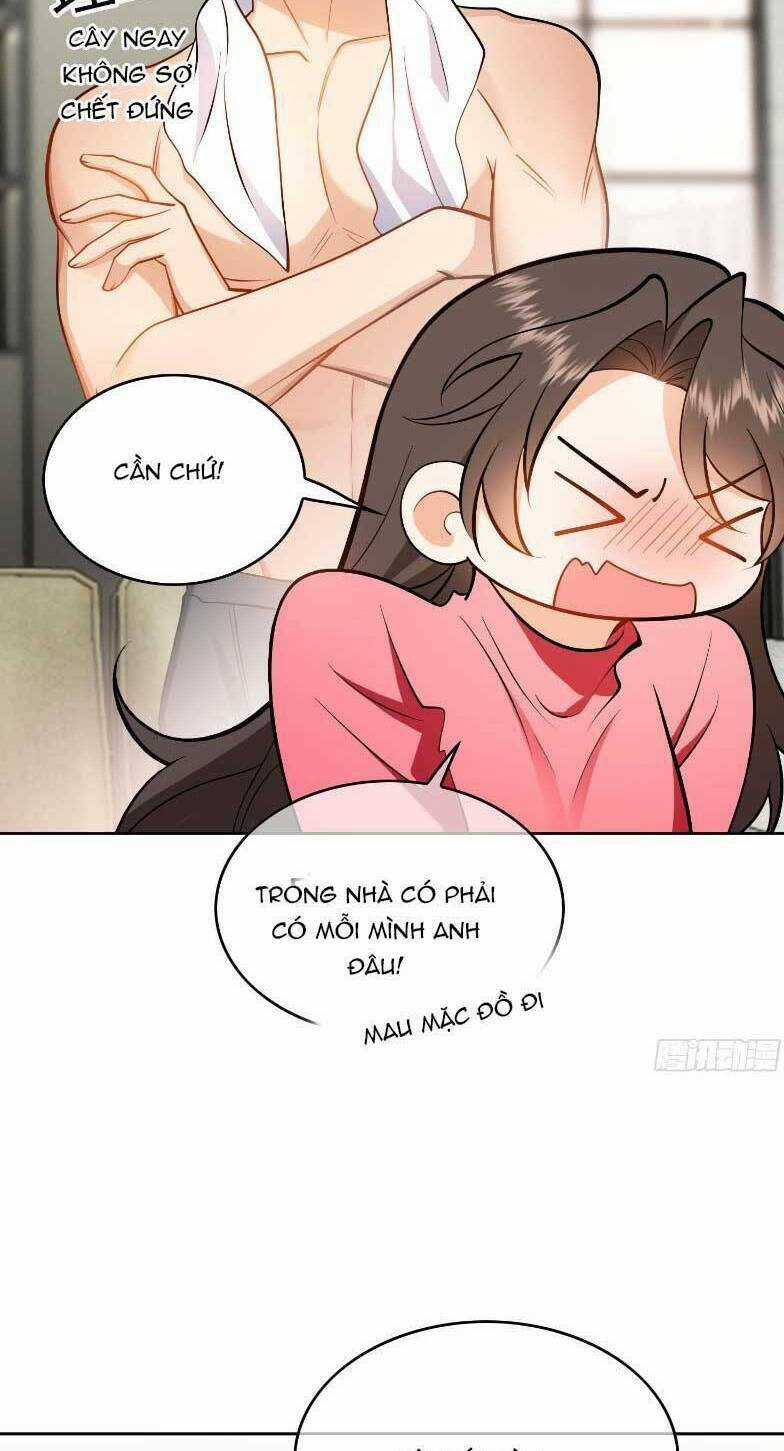 Người Tình Hợp Đồng Của Tổng Tài Chapter 7 trang 15