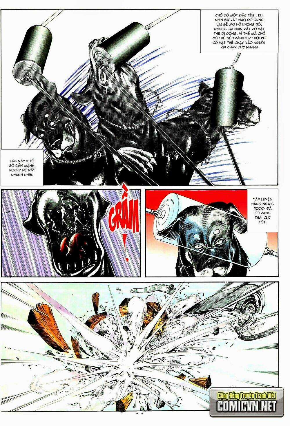 Người Trong Giang Hồ Chapter 49 trang 11