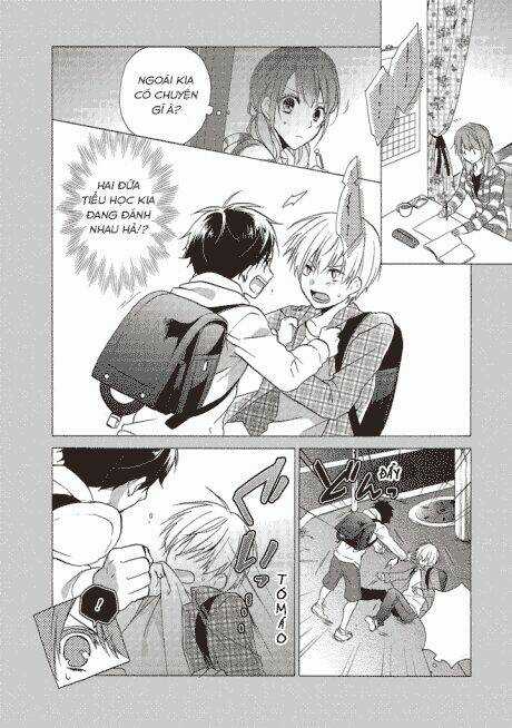 Người Trong Mộng của Kotono Chapter 1 trang 5