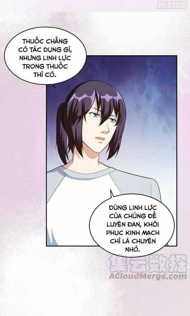Người Tu Tiên Tại Đô Thị Chapter 105 trang 12