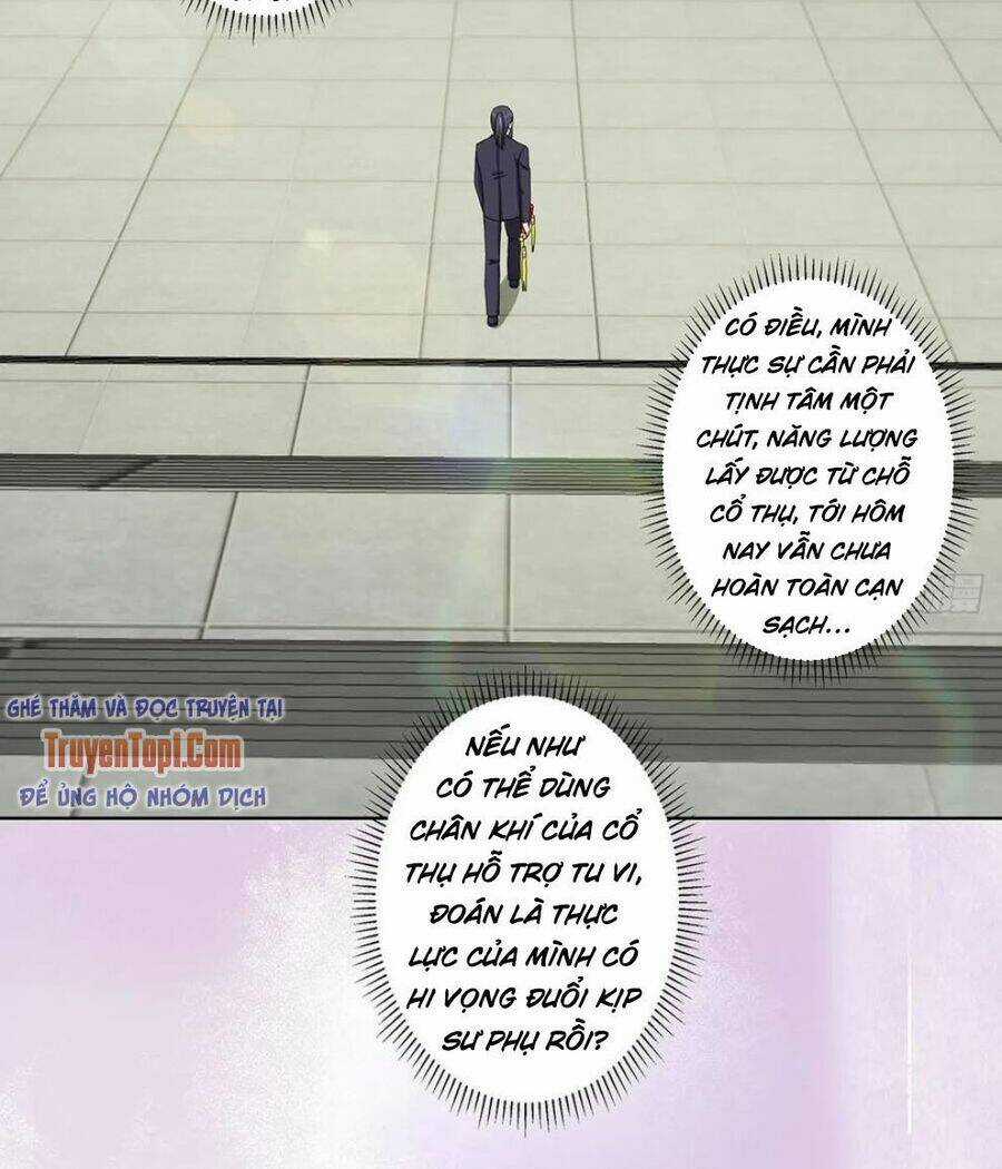 Người Tu Tiên Tại Đô Thị Chapter 72 trang 5