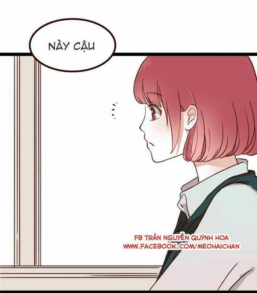 Người Yêu 0 Độ Chapter 8 trang 37