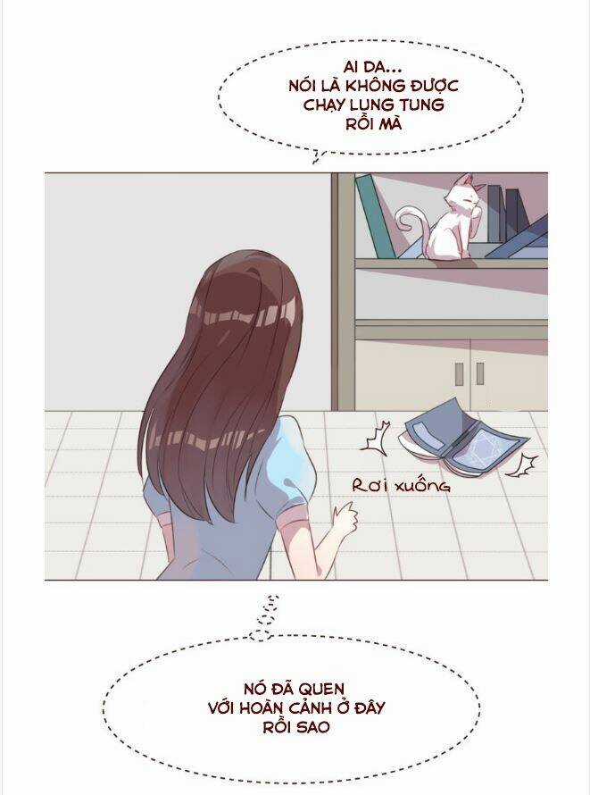 Người Yêu Biến Mất Chapter 48 trang 27