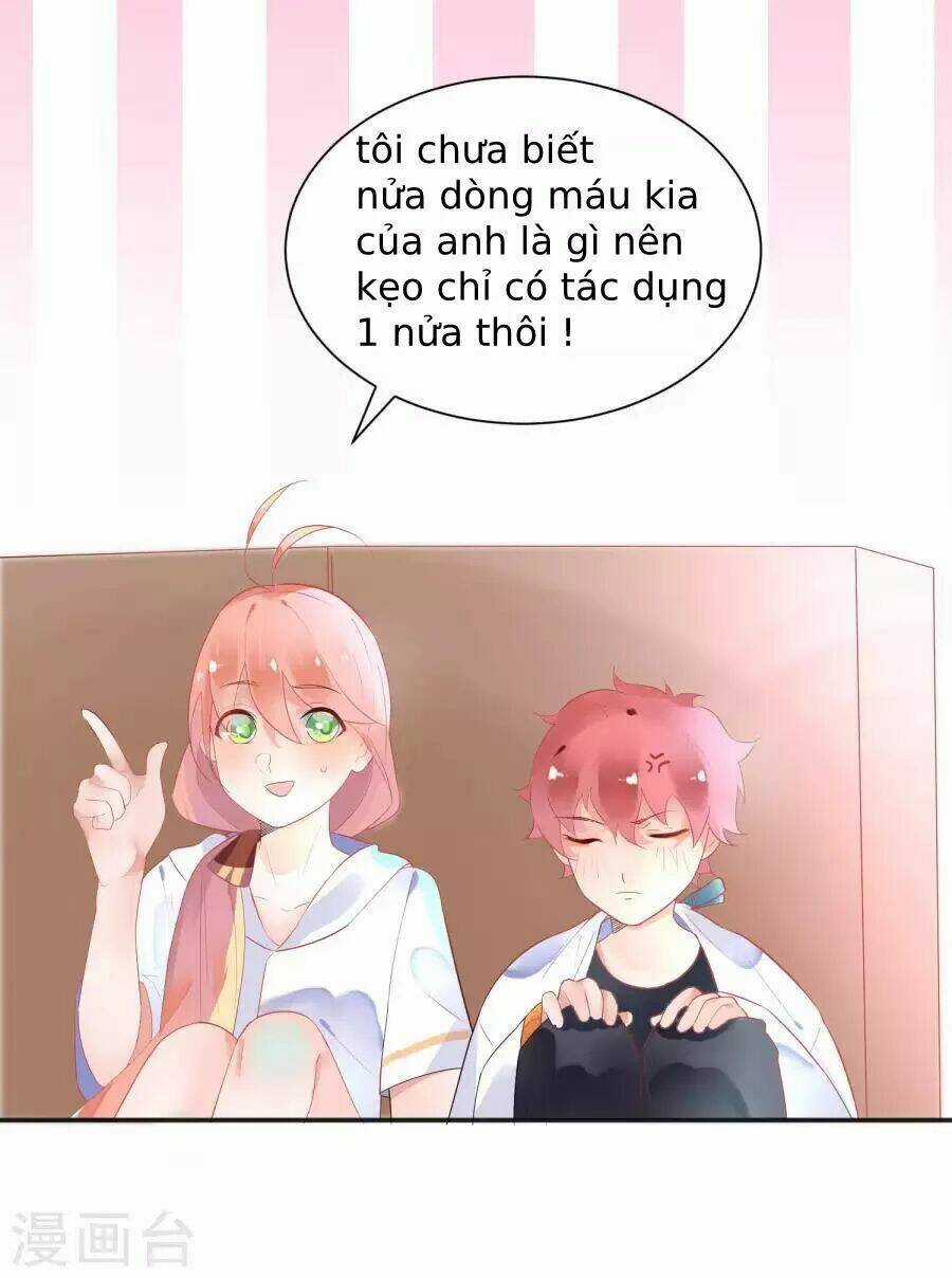 Người Yêu Ngọt Ngào Của Tôi Chapter 12 trang 2