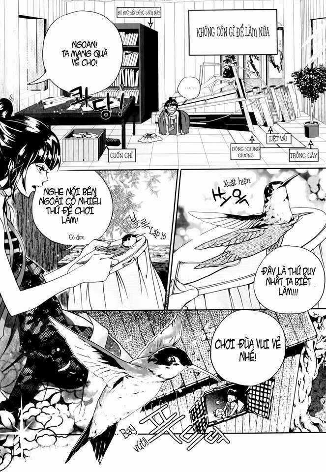 Người Yêu Tôi Là Borumi Chapter 1 trang 14