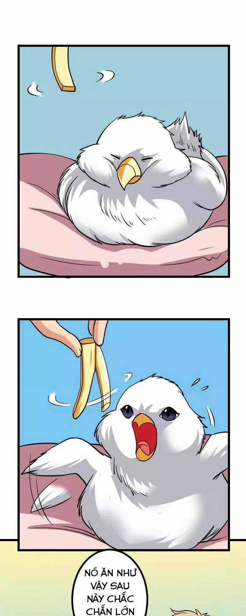 Ngưu Thư Cung Ứng Thương Chapter 139 trang 15