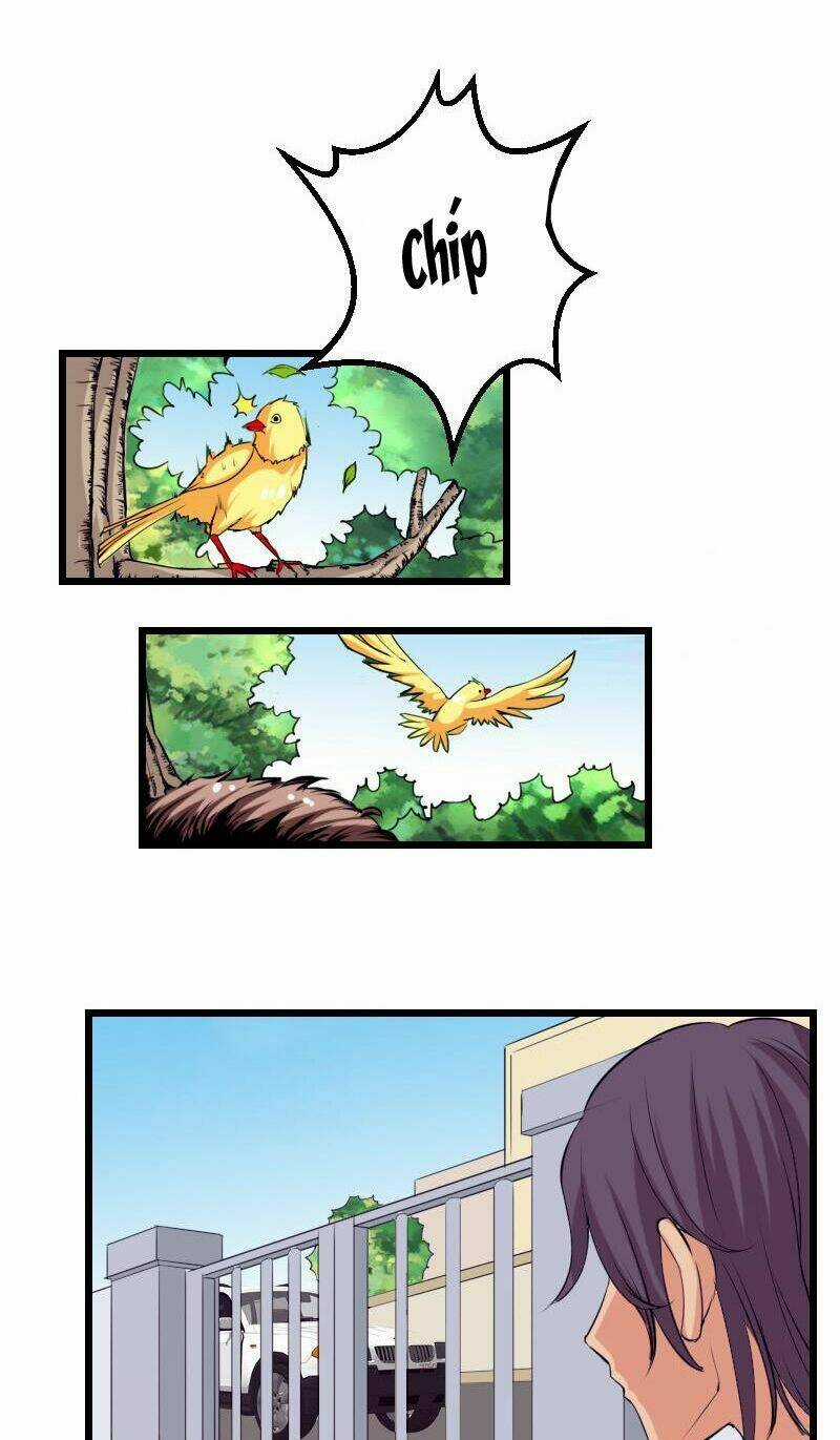 Ngưu Thư Cung Ứng Thương Chapter 33 trang 11