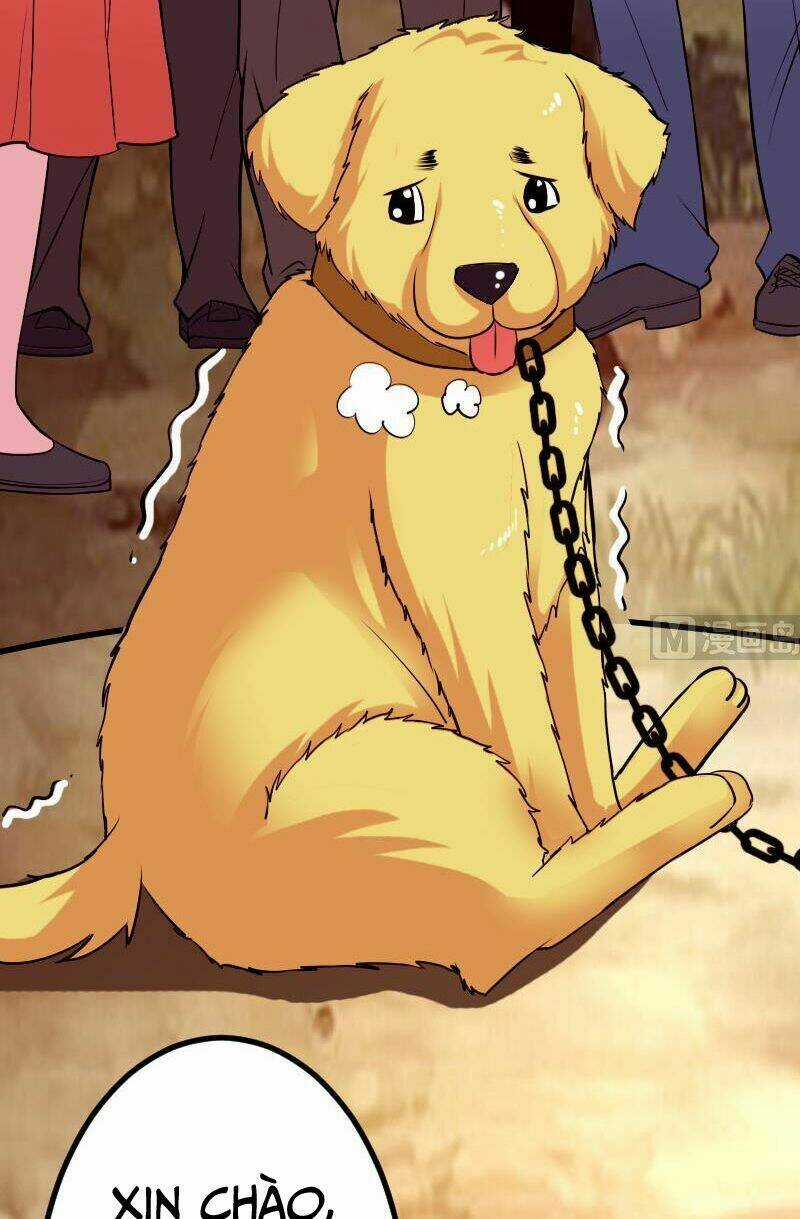 Ngưu Thư Cung Ứng Thương Chapter 45 trang 4