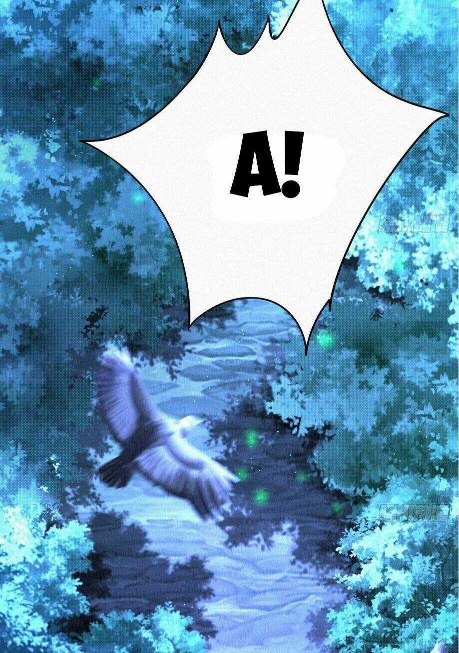 Nguyên Linh Chúa Tể Chapter 1.5 trang 17