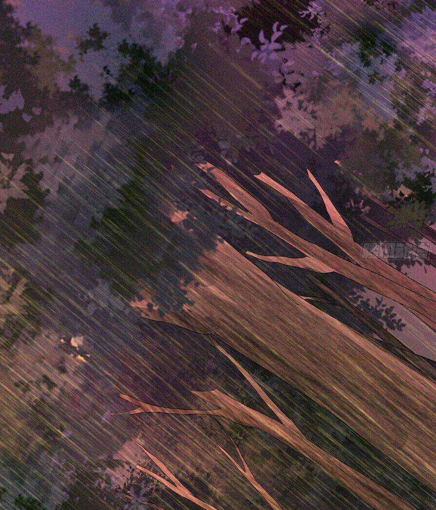 Nguyên Linh Chúa Tể Chapter 11 trang 14