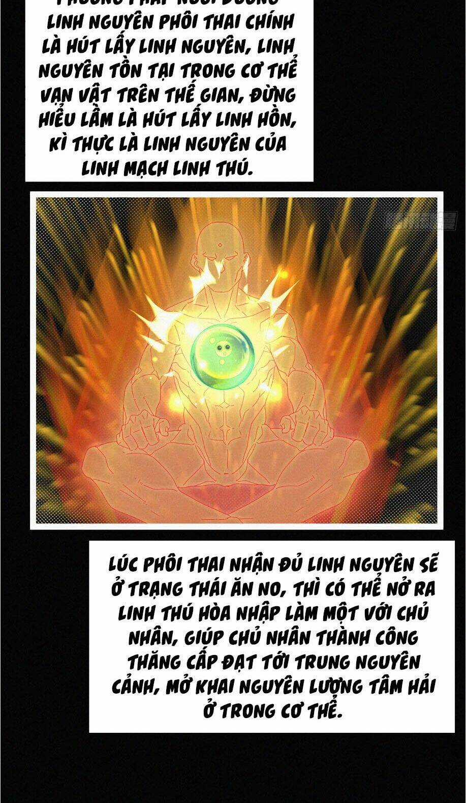 Nguyên Linh Chúa Tể Chapter 8 trang 26