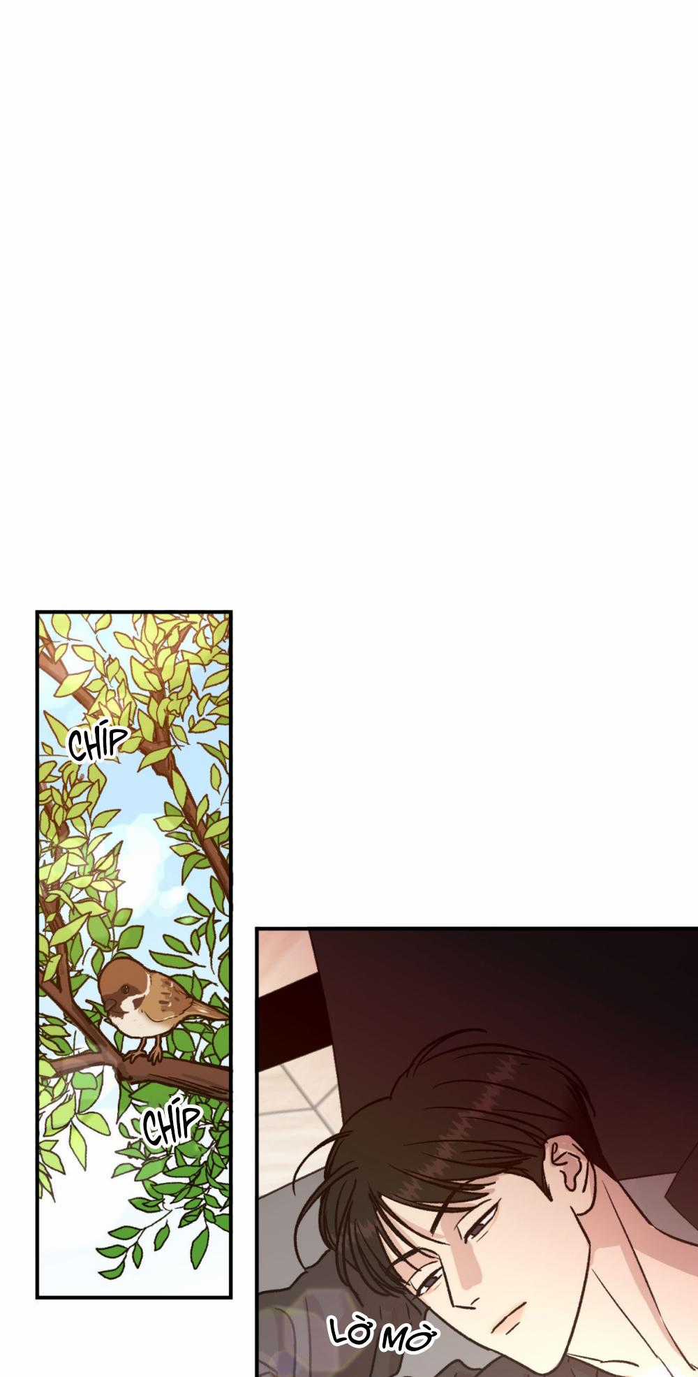 Nhà Của Chúng Ta Chapter 17 trang 6