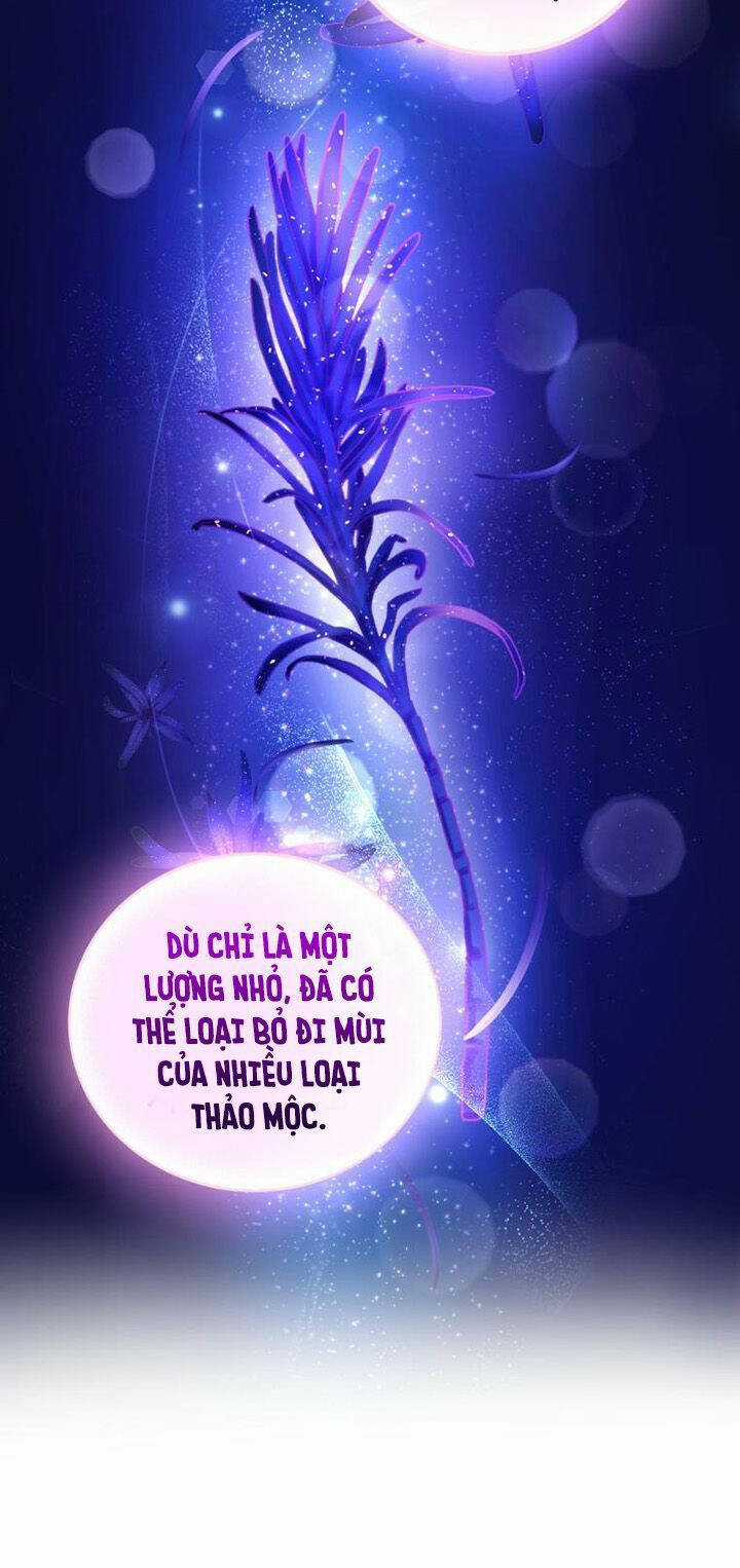 Nhà Điều Chế Nước Hoa Độc Quyền Của Bạo Chúa Chapter 62 trang 29