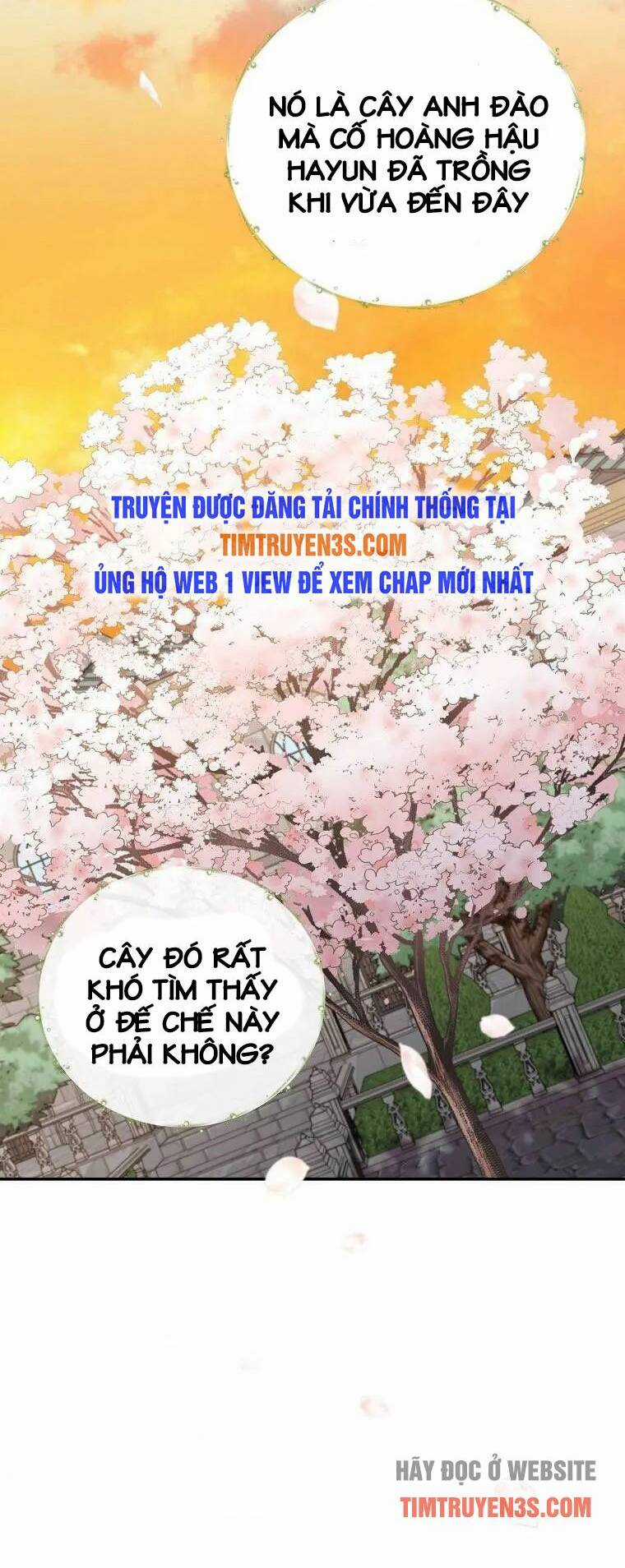 Nhà Hiền Triết Yigret Chapter 41 trang 49
