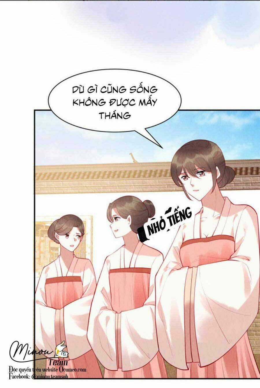 Nha Hỏa Cuồng Phi: Vương Gia Phóng Tứ Sủng Chapter 2 trang 7