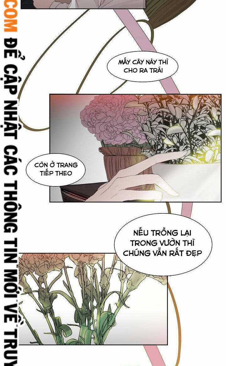 Nhà Kính Lạnh Lẽo Chapter 4 trang 21