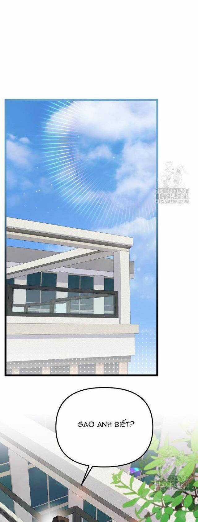 Nhà Soạn Nhạc Thiên Tài Đã Trở Lại Ưu đãi tai nghe tốt nhất Chapter 15 trang 23